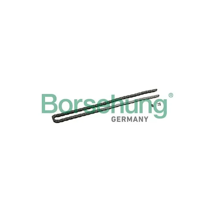 Borsehung B1C027 Timing Chain