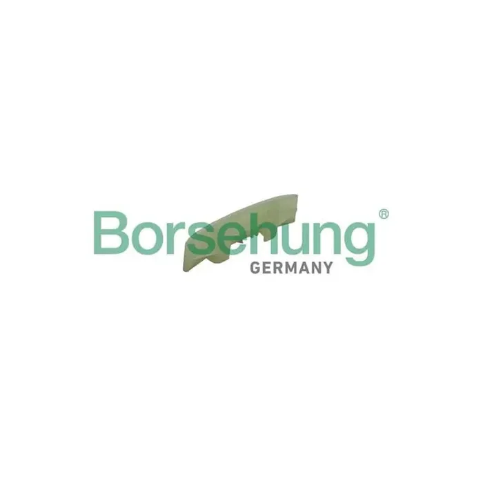 Borsehung B1G012 Guides, Timing Chain