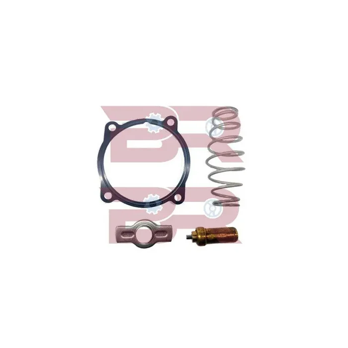 Botto Ricambi Brac1087 Engine Thermostat