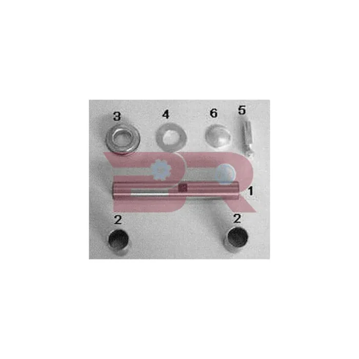 Botto Ricambi Kitiv008 Repair Kit, Kingpin