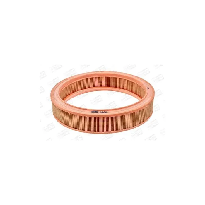 Champion Caf100118R Air Filter
