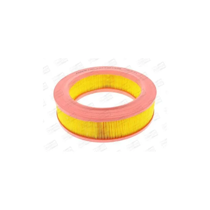 Champion Caf100149R Air Filter