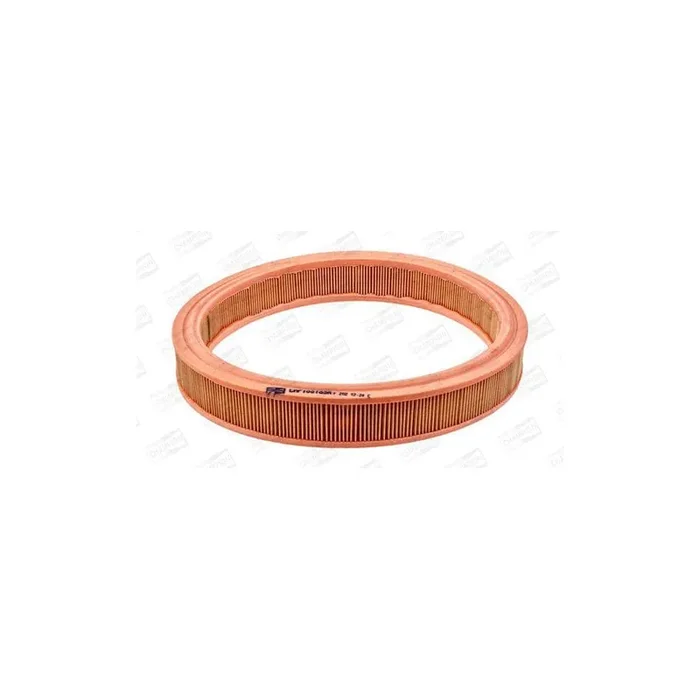 Champion Caf100169R Air Filter for Ford Fiesta Mk1 Hatchback (Gfbt)