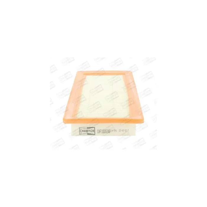 Champion Caf100534P Air Filter