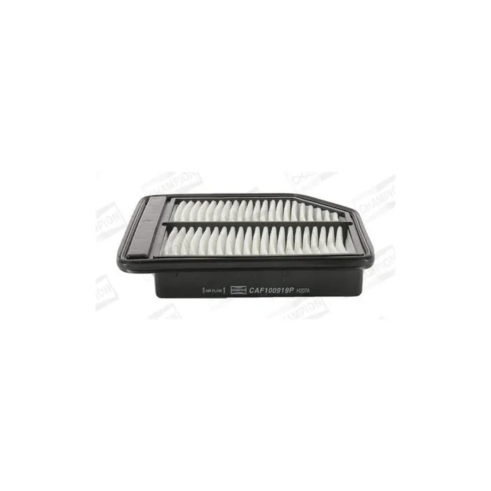 Champion Caf100919P Air Filter