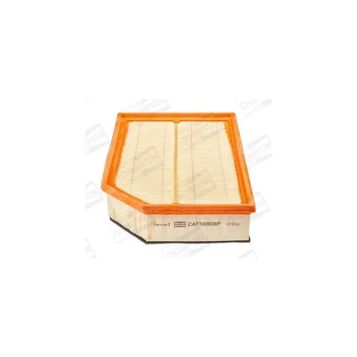 Champion Caf100938P Air Filter