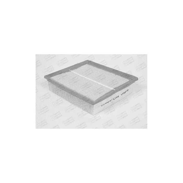 Champion U569/606 Air Filter
