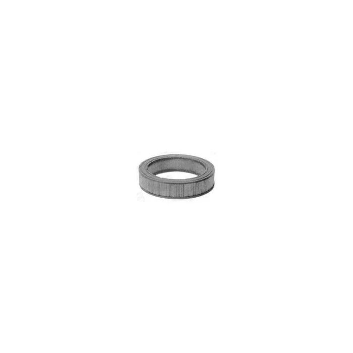Champion W209/606 Air Filter