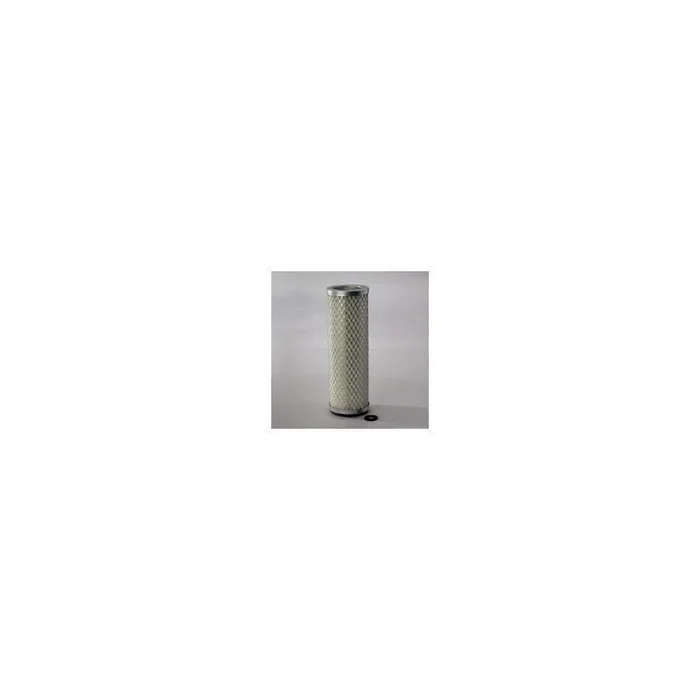 Donaldson P127313 Air Filter