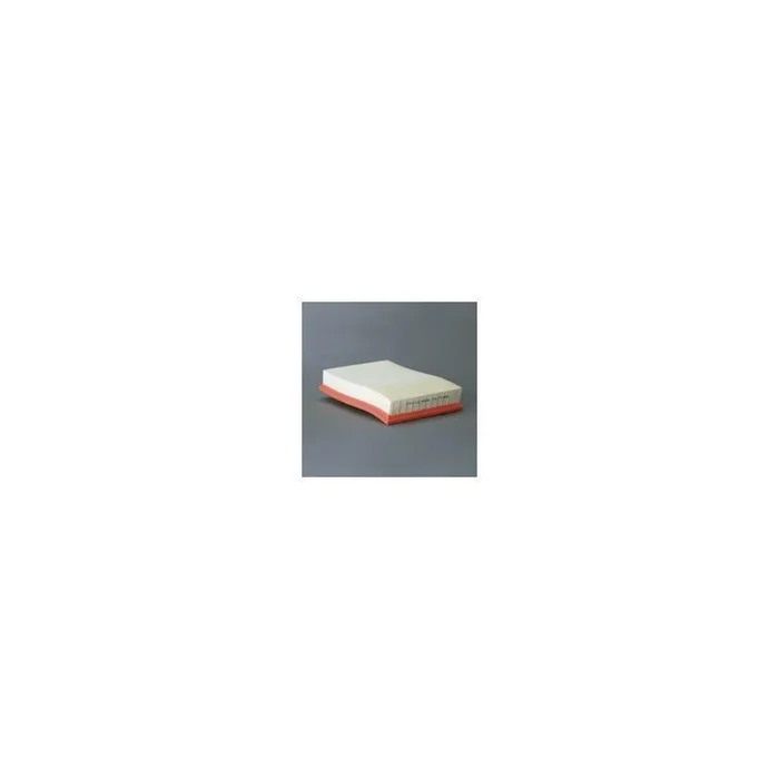 Donaldson P535089 Air Filter