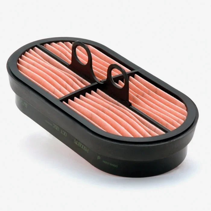 Donaldson P600975 Air Filter