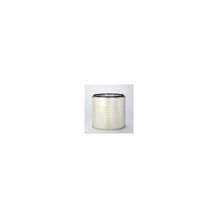 Donaldson P603857 Air Filter