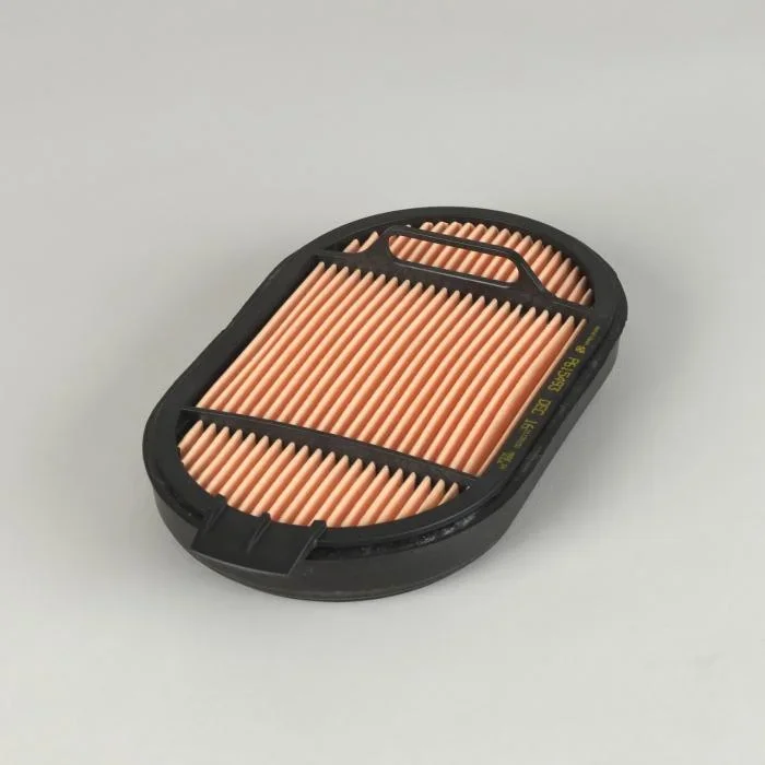 Donaldson P615493 Air Filter