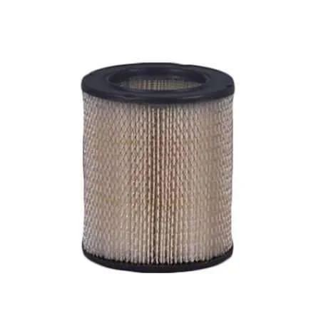 Fleetguard AF4955 Air Filter