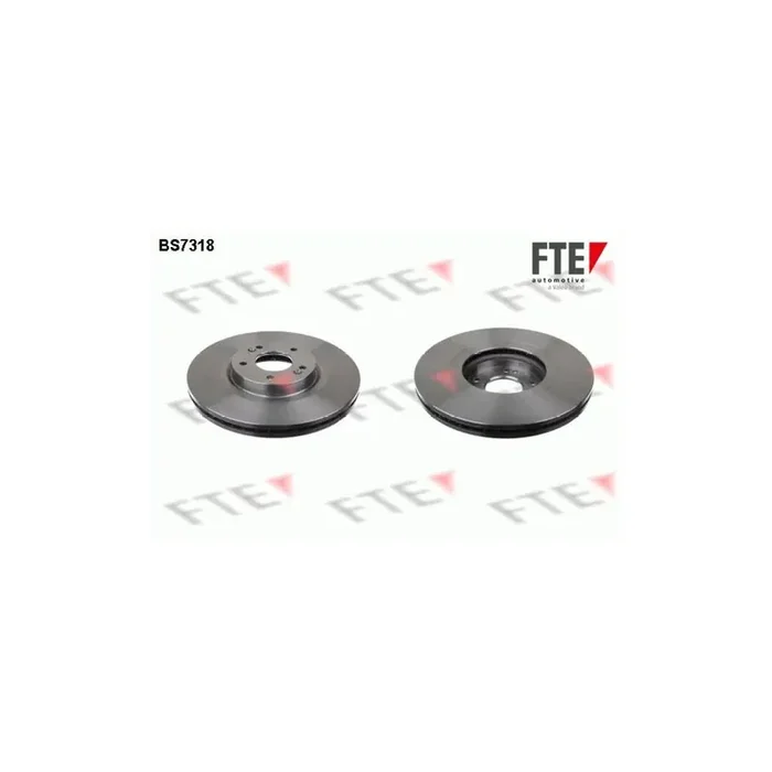 FTE Bs7318 Brake Disc