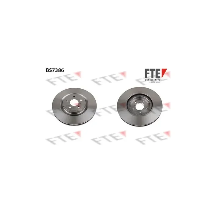 FTE Bs7386 Brake Disc