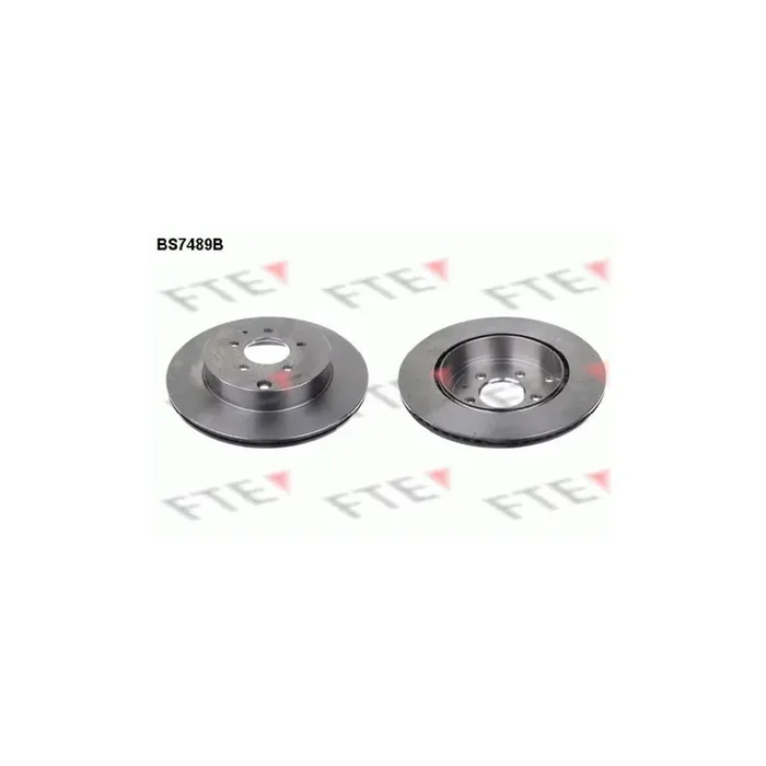 FTE Bs7489B Brake Disc
