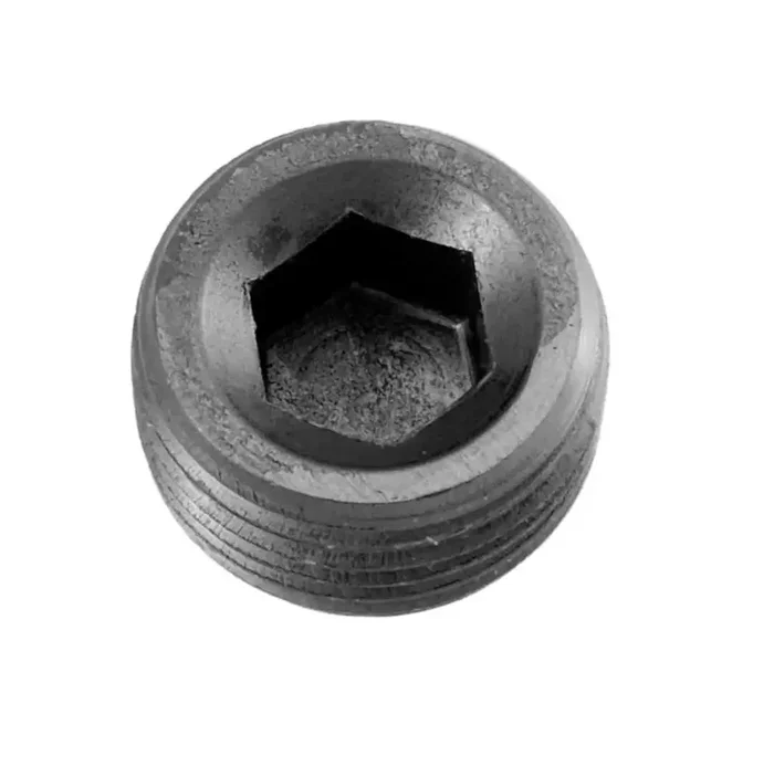 NPT PLUG