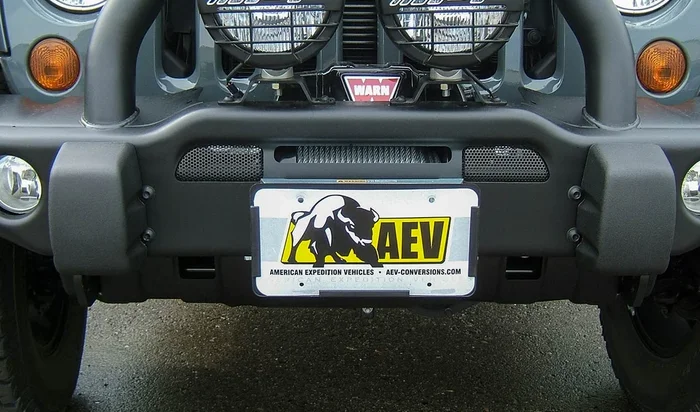 Roller Fiarlead License Plate Mount