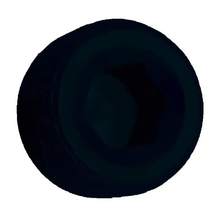 SPEEDFX 563704BK 3/8′ BLK ALLEN SOCKET PIPE PLG