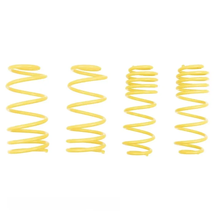 ST Suspensions Muscle Car Springs – 1973-1974 Buick Apollo Sedan