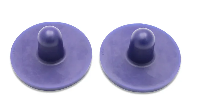 SuperPro Rear Bump Stop Bushing Kit | 2004 Pontiac GTO (SPF3906K)