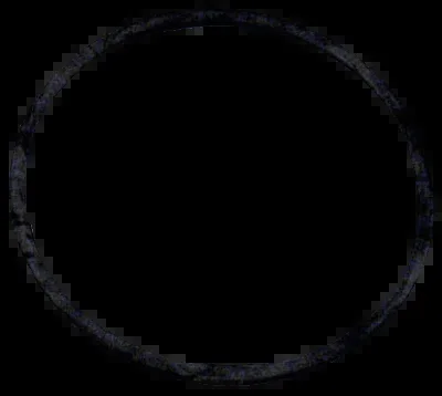 Wix 15147 Gasket